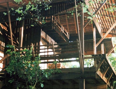 Goh Pra Tong bungalows in the trees behind the beach.