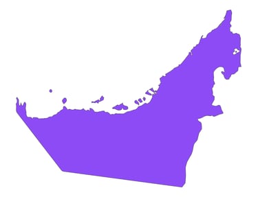 DRONICLE opperates UAE wide