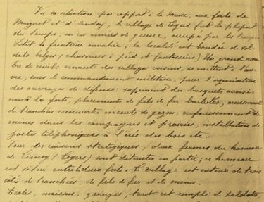 Rapport du Curé de la paroisse 1914