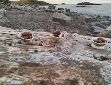 Reciprocity: rituals to honour nature