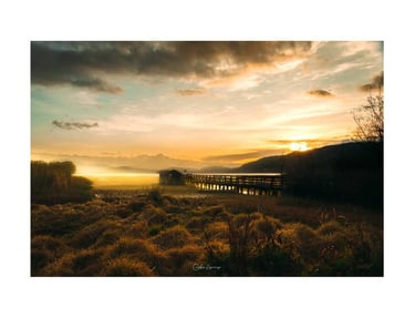 Laguna de Tota Nelson Lizarazo