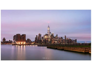 New York Nelson Lizarazo