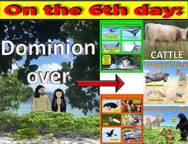 Man have dominion over the animals designed by Debbie Dunn using PowerPoint & Paint