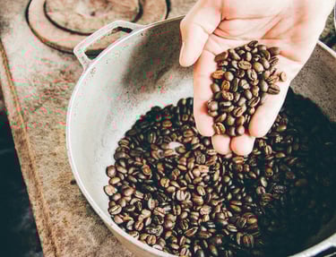 Finca cafetalera en Oaxaca, cultivando café artesanal con prácticas sostenibles.