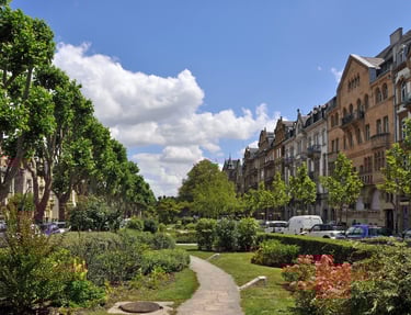 Vue de l’avenue Foch à Metz, bordée d’immeubles élégants et d’arbres imposants, avec son terre-plein central fleuri et verdoy