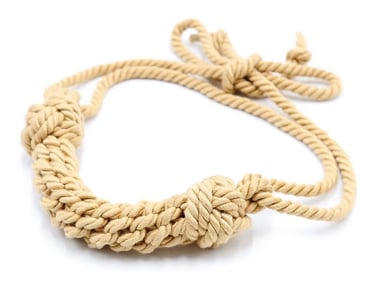 Rope horse bit