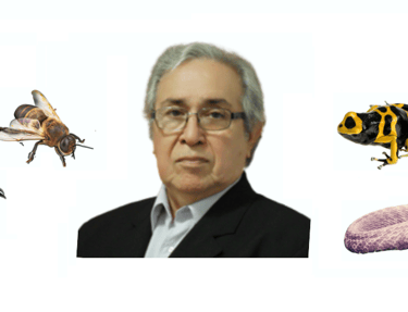 Profesor Dr Nestor Urtubey Argentina Apitoxina Veneno de Abejas
