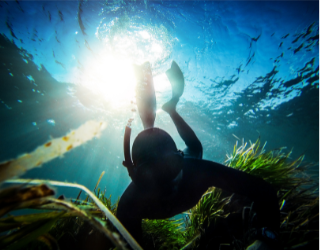 a person spearfishing