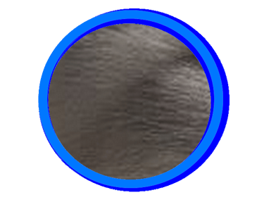 Bleu est la couleur grise du Ragdoll pour le LOOF.