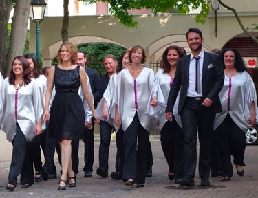 groupe vocal Maniwata la France a un incroyable talent 2014