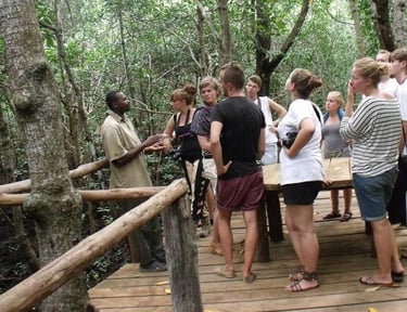 Group of tourists listening to a local tour guide explaining wildlife and nature in Jozani Forest Zanzibar