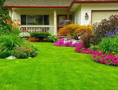 new vibrant plants on property