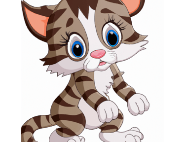 Baby kitten Afraid 