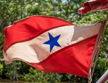BANDEIRA DO PARÁ NA AMAZÔNIA