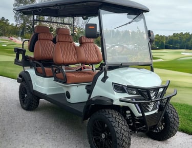 Car on ground in a park