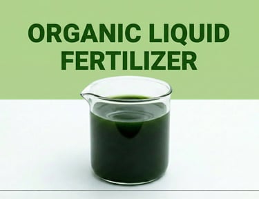 a pitcher of liquid is shown in this image