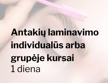 Antakių laminavimo invidualūs arba grupėje kursai