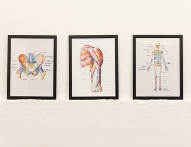 Back spine