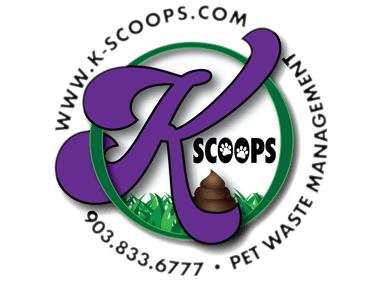 K-SCOOPS.com | Logo