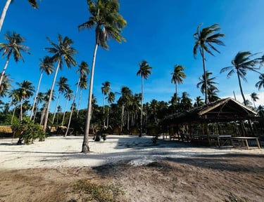3D2N hut accommodation Linapacan private island