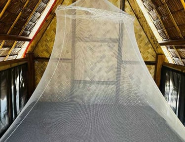 3D2N hut accommodation Linapacan private island