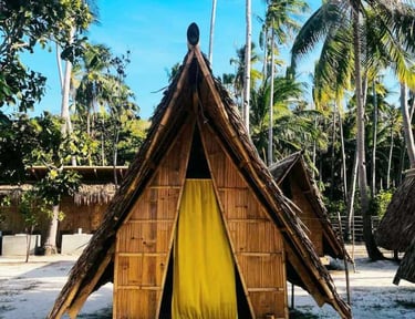 3D2N hut accommodation Linapacan private island