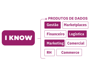 I-KNOW da IN10 - solução de dados