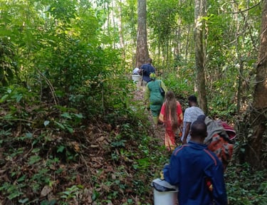 Randonnée en forêt. Immersion pratique dans l'environnement naturel - Bwiti - MIKOUMOU VILLAGE