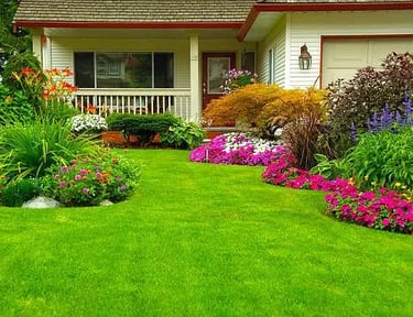 new vibrant plants on property