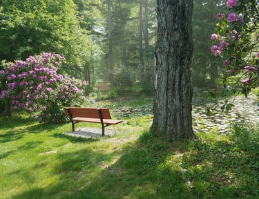 L’agence SOPPRANO vous accompagne dans vos projets de création ou d’embellissement d’espaces verts