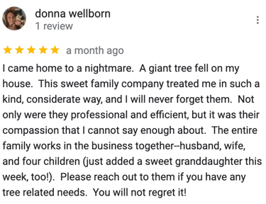 Google Review Tree Service Hickory NC