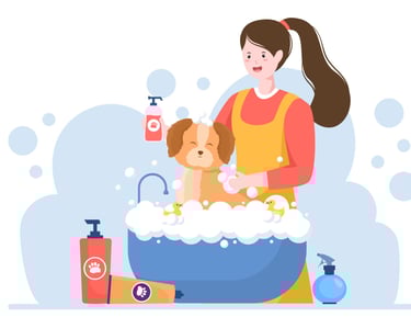 Dog Grooming at Home, Qatar