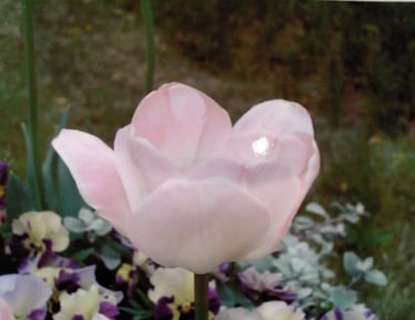 G. Emotion of Jealousy is healed.