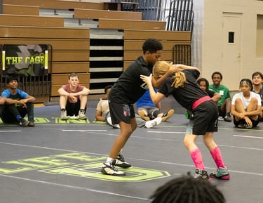 Wrestlers wrestling