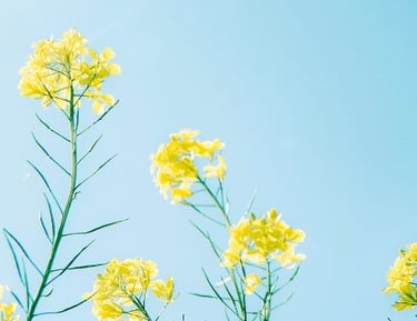 confiance assistante administrative déléguer