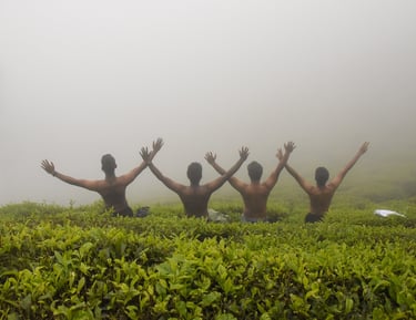 munnar_experience