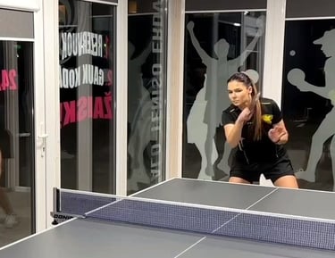 Stalo tenisas Kaunas PING PONG SPOT