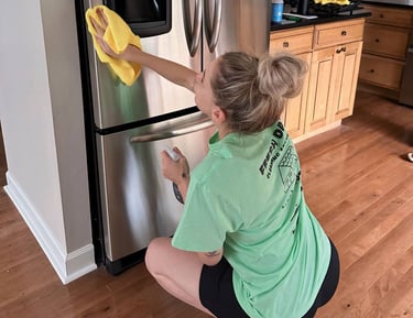 A professional cleaner thoroughly cleans the fridge