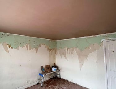 plastered ceiling by franklins plastering worcester