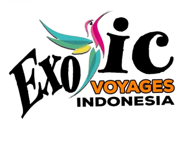 Logo Exotic Voyages Indonesia