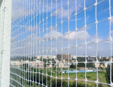 Wide shot showing a building facade fully protected with pigeon net installations.