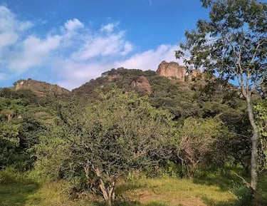 Hermosa vista y lugar. Un lugar que enriquece mi voluntad por aprender el francés.