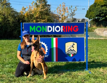 Professional dog trainer working with older dog