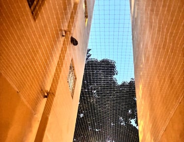 Finished balcony with neatly installed pigeon net blending seamlessly with the building.