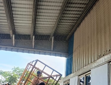 iindustrial pigeon nets installation in pallikarnai chennai