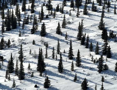 Aerial View of Snow Covered Hill