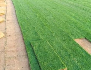 تنسيق حدائق بالقسيم مؤسسة حدائق الابداع