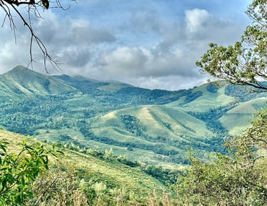 Scenic view from a mountain peak in Chikmagalur