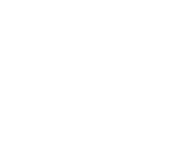 logo disobey