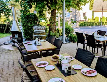 Terrace Riol on the Moselle